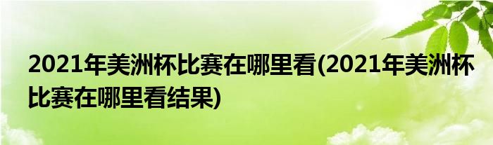 2021年美洲杯比賽在哪里看(2021年美洲杯比賽在哪里看結果)