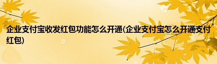 企業(yè)支付寶收發(fā)紅包功能怎么開通(企業(yè)支付寶怎么開通支付紅包)