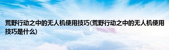 荒野行動之中的無人機使用技巧(荒野行動之中的無人機使用技巧是什么)