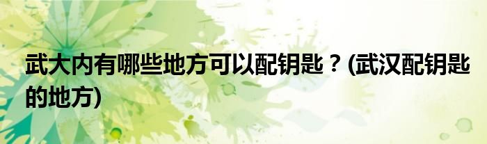 武大內(nèi)有哪些地方可以配鑰匙？(武漢配鑰匙的地方)