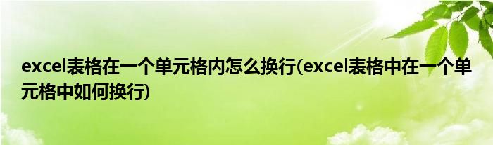 excel表格在一個(gè)單元格內(nèi)怎么換行(excel表格中在一個(gè)單元格中如何換行)