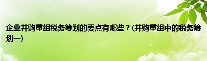 企業(yè)并購重組稅務籌劃的要點有哪些？(并購重組中的稅務籌劃一)