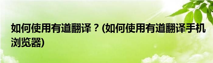 如何使用有道翻譯？(如何使用有道翻譯手機瀏覽器)