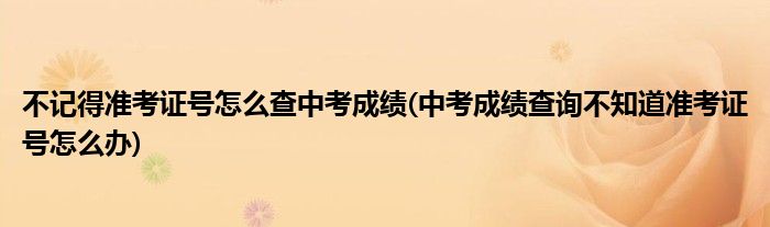 不記得準考證號怎么查中考成績(中考成績查詢不知道準考證號怎么辦)