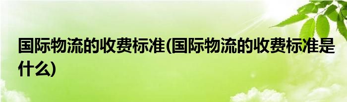 國際物流的收費標準(國際物流的收費標準是什么)