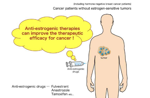 研究顯示雌激素陰性癌癥對(duì)抗雌激素治療有反應(yīng)