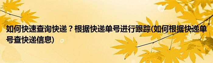 如何快速查詢快遞？根據(jù)快遞單號(hào)進(jìn)行跟蹤(如何根據(jù)快遞單號(hào)查快遞信息)