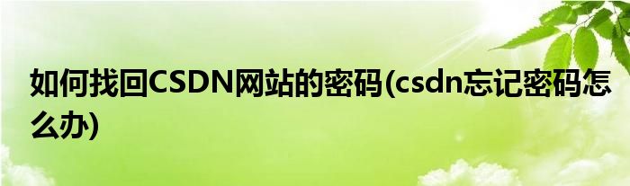 如何找回CSDN網(wǎng)站的密碼(csdn忘記密碼怎么辦)