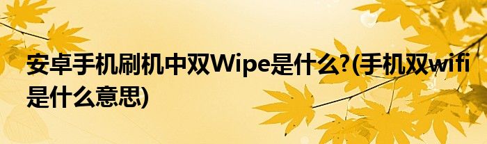 安卓手機(jī)刷機(jī)中雙Wipe是什么?(手機(jī)雙wifi是什么意思)