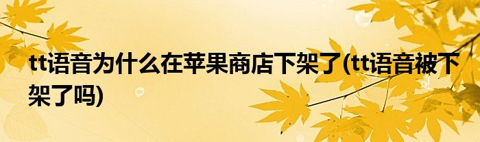 tt語音為什么在蘋果商店下架了(tt語音被下架了嗎)