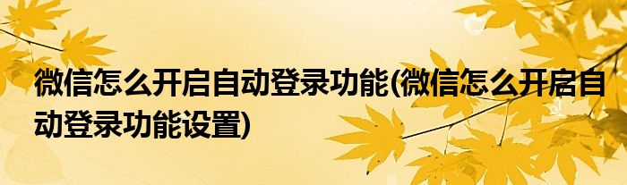 微信怎么開啟自動登錄功能(微信怎么開啟自動登錄功能設(shè)置)