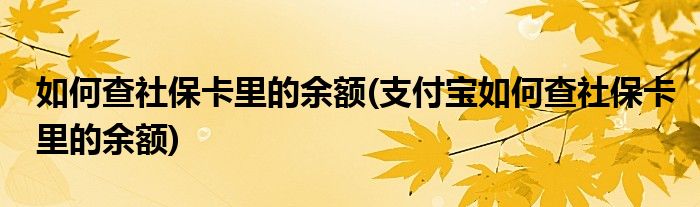 如何查社保卡里的余額(支付寶如何查社?？ɡ锏挠囝~)