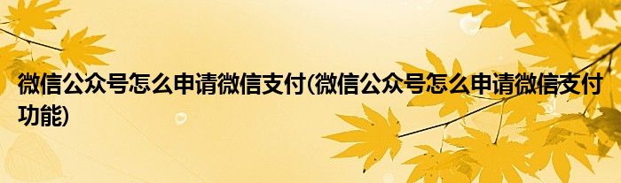 微信公眾號怎么申請微信支付(微信公眾號怎么申請微信支付功能)