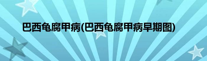 巴西龜腐甲病(巴西龜腐甲病早期圖)