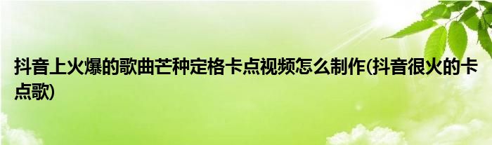 抖音上火爆的歌曲芒種定格卡點視頻怎么制作(抖音很火的卡點歌)