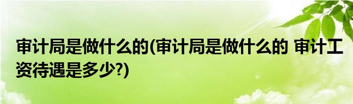 審計局是做什么的(審計局是做什么的 審計工資待遇是多少?)