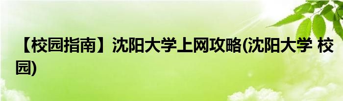 【校園指南】沈陽(yáng)大學(xué)上網(wǎng)攻略(沈陽(yáng)大學(xué) 校園)