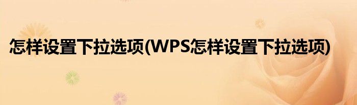 怎樣設(shè)置下拉選項(WPS怎樣設(shè)置下拉選項)