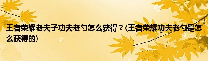 王者榮耀老夫子功夫老勺怎么獲得？(王者榮耀功夫老勺是怎么獲得的)