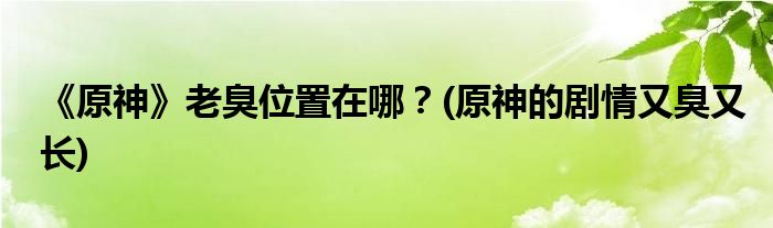 《原神》老臭位置在哪？(原神的劇情又臭又長)