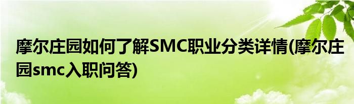 摩爾莊園如何了解SMC職業(yè)分類詳情(摩爾莊園smc入職問答)