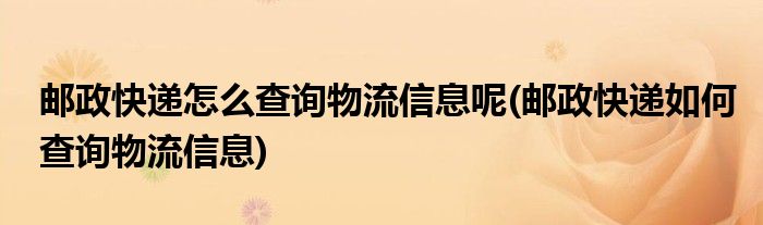 郵政快遞怎么查詢物流信息呢(郵政快遞如何查詢物流信息)