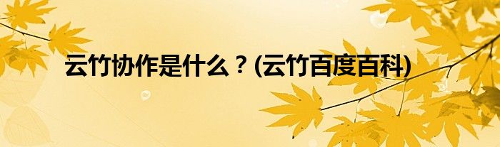 云竹協(xié)作是什么？(云竹百度百科)