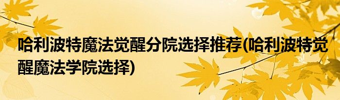 哈利波特魔法覺醒分院選擇推薦(哈利波特覺醒魔法學院選擇)