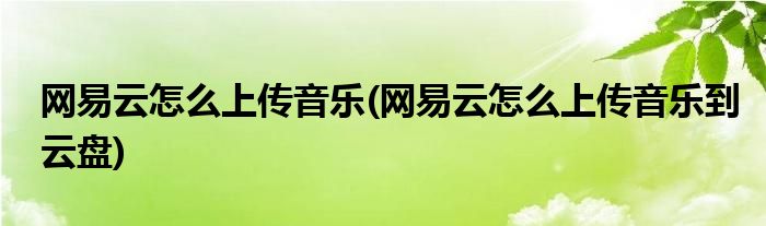 網(wǎng)易云怎么上傳音樂(網(wǎng)易云怎么上傳音樂到云盤)