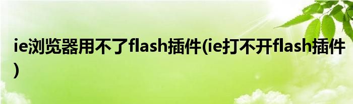 ie瀏覽器用不了flash插件(ie打不開flash插件)