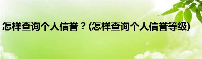 怎樣查詢個(gè)人信譽(yù)？(怎樣查詢個(gè)人信譽(yù)等級(jí))