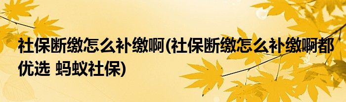 社保斷繳怎么補(bǔ)繳啊(社保斷繳怎么補(bǔ)繳啊都優(yōu)選 螞蟻社保)