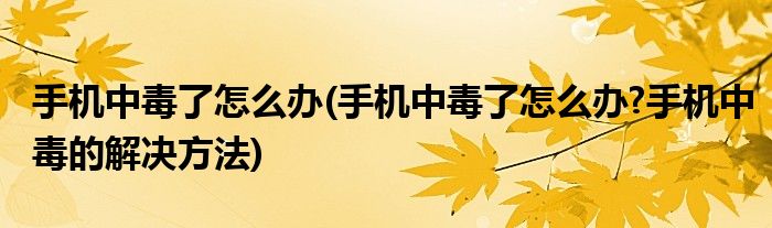 手機(jī)中毒了怎么辦(手機(jī)中毒了怎么辦?手機(jī)中毒的解決方法)