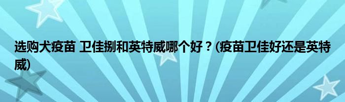 選購犬疫苗 衛(wèi)佳捌和英特威哪個好？(疫苗衛(wèi)佳好還是英特威)