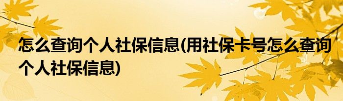 怎么查詢個(gè)人社保信息(用社?？ㄌ?hào)怎么查詢個(gè)人社保信息)