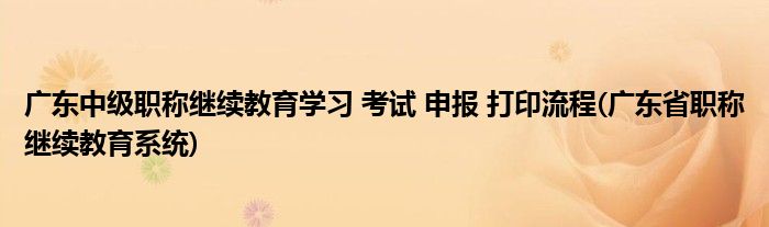 廣東中級職稱繼續(xù)教育學(xué)習(xí) 考試 申報 打印流程(廣東省職稱繼續(xù)教育系統(tǒng))