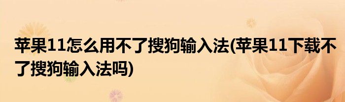 蘋果11怎么用不了搜狗輸入法(蘋果11下載不了搜狗輸入法嗎)