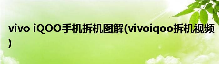 vivo iQOO手機(jī)拆機(jī)圖解(vivoiqoo拆機(jī)視頻)