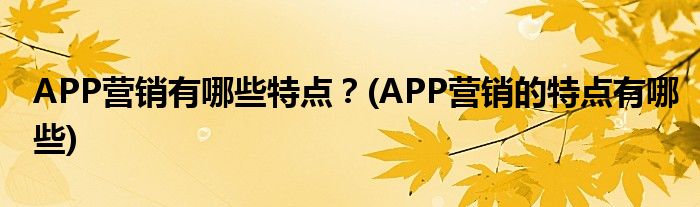 APP營銷有哪些特點(diǎn)？(APP營銷的特點(diǎn)有哪些)