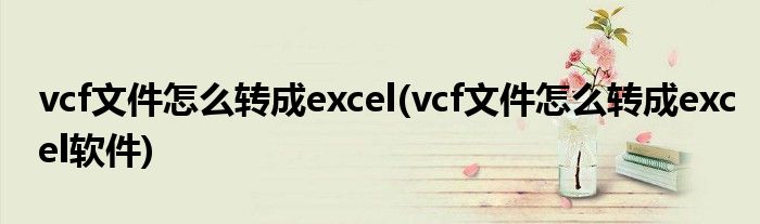 vcf文件怎么轉(zhuǎn)成excel(vcf文件怎么轉(zhuǎn)成excel軟件)