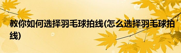 教你如何選擇羽毛球拍線(怎么選擇羽毛球拍線)