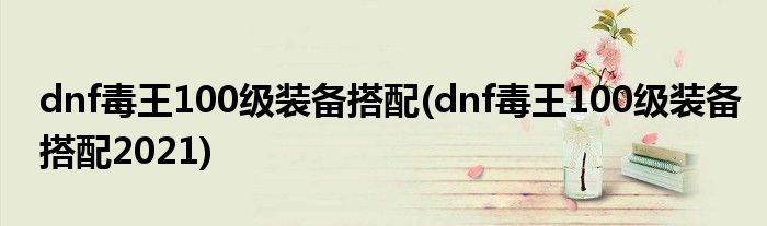 dnf毒王100級(jí)裝備搭配(dnf毒王100級(jí)裝備搭配2021)