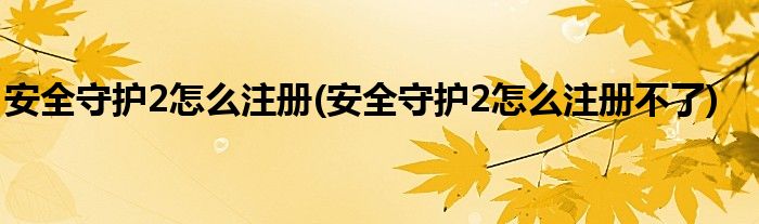 安全守護2怎么注冊(安全守護2怎么注冊不了)