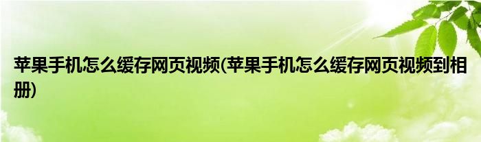 蘋果手機(jī)怎么緩存網(wǎng)頁視頻(蘋果手機(jī)怎么緩存網(wǎng)頁視頻到相冊(cè))