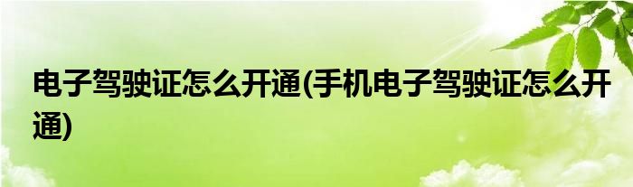 電子駕駛證怎么開通(手機電子駕駛證怎么開通)