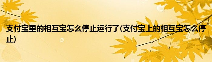 支付寶里的相互寶怎么停止運行了(支付寶上的相互寶怎么停止)