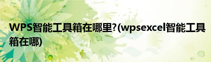 WPS智能工具箱在哪里?(wpsexcel智能工具箱在哪)