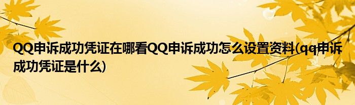 QQ申訴成功憑證在哪看QQ申訴成功怎么設置資料(qq申訴成功憑證是什么)