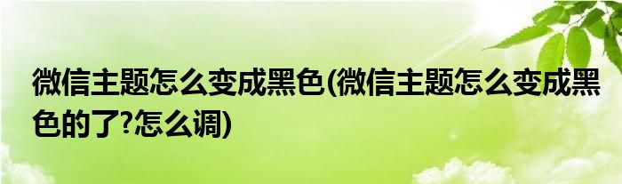 微信主題怎么變成黑色(微信主題怎么變成黑色的了?怎么調)