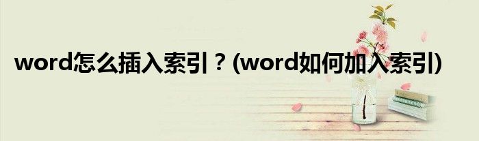 word怎么插入索引？(word如何加入索引)